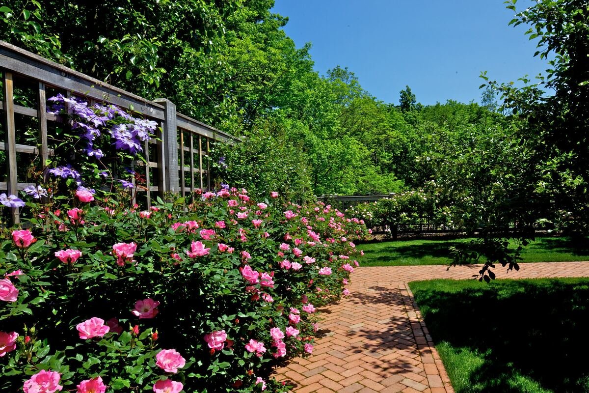 Provide Support with a Lattice Wall