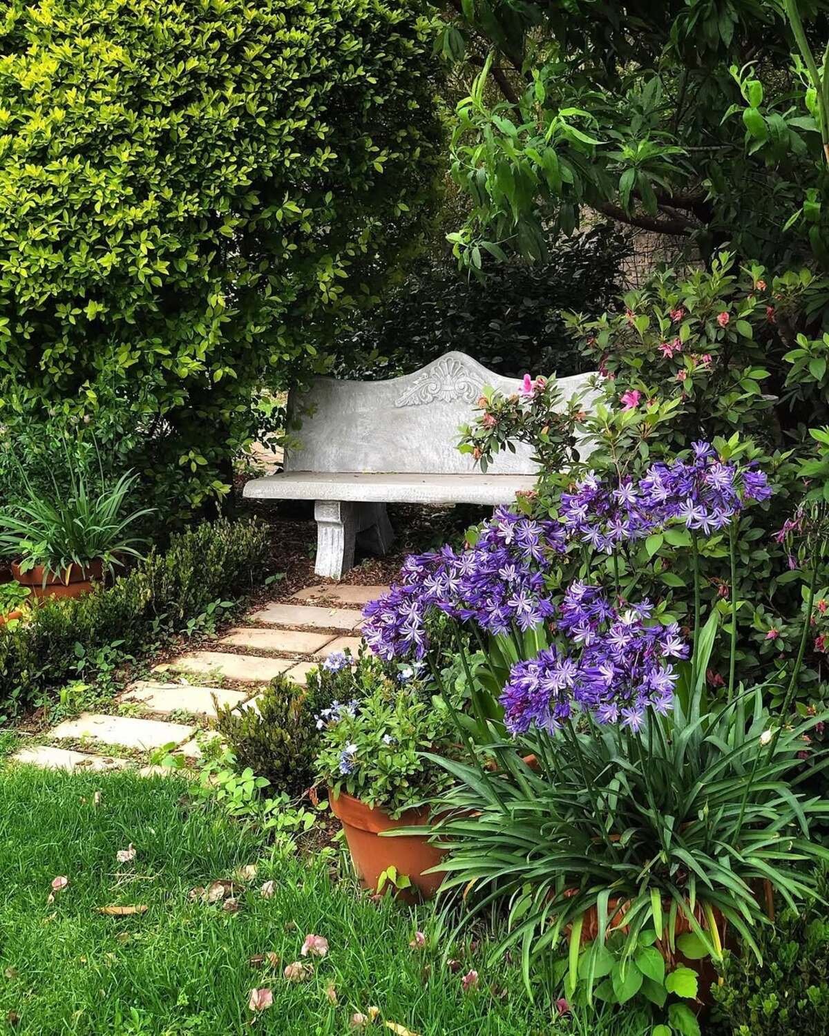 Regal Stone Bench Among Live Greenery