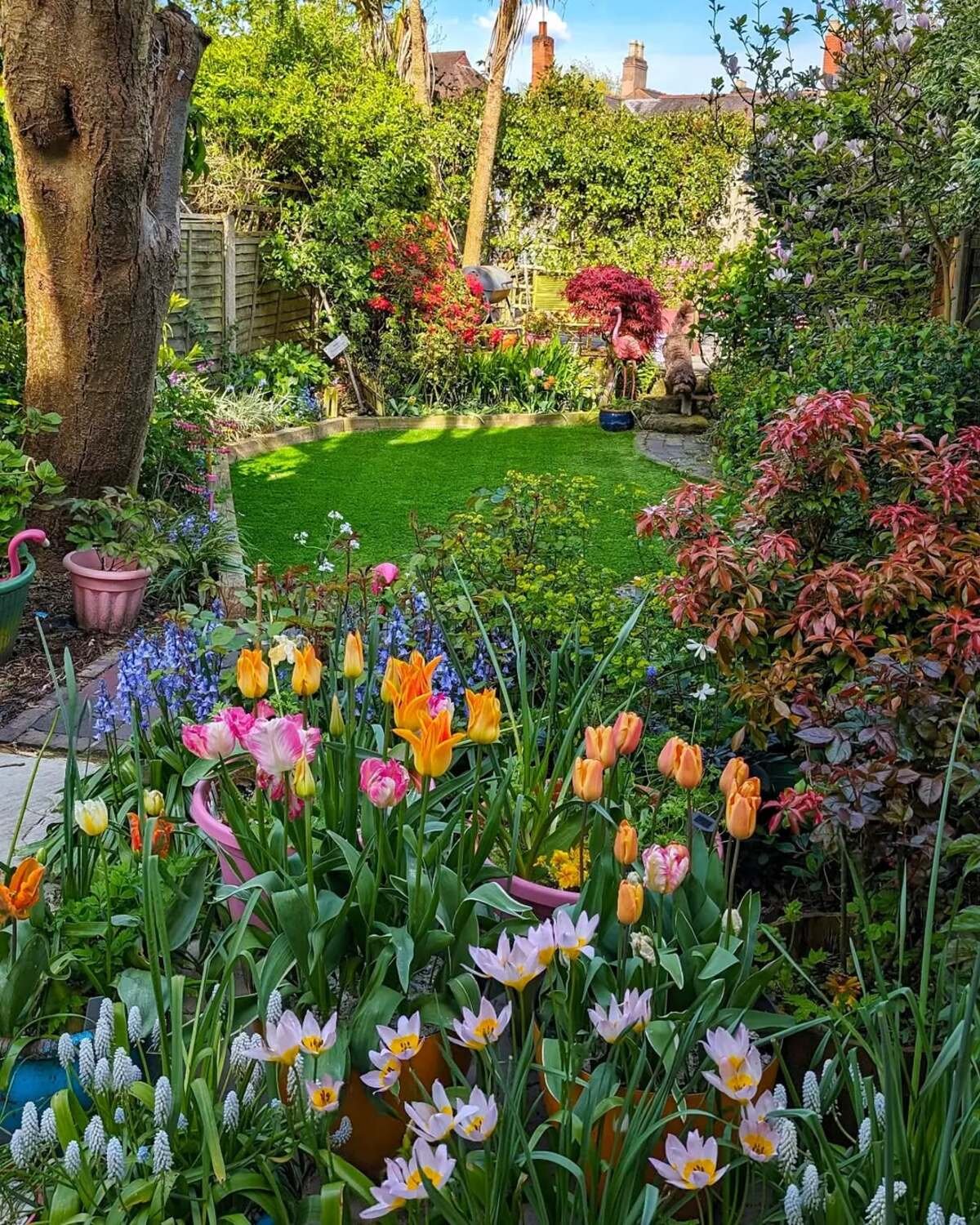 Small But Colorful Garden