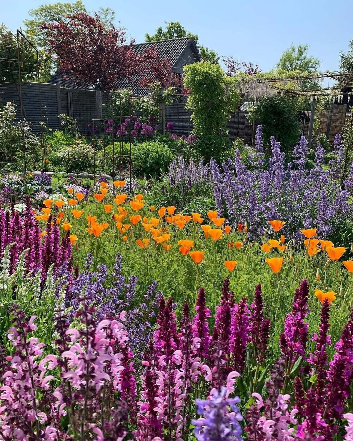 Summer Garden Idea