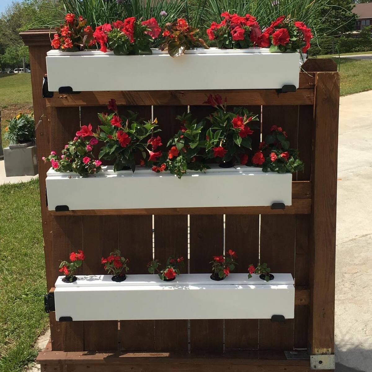 Tiered Hydroponic Planter