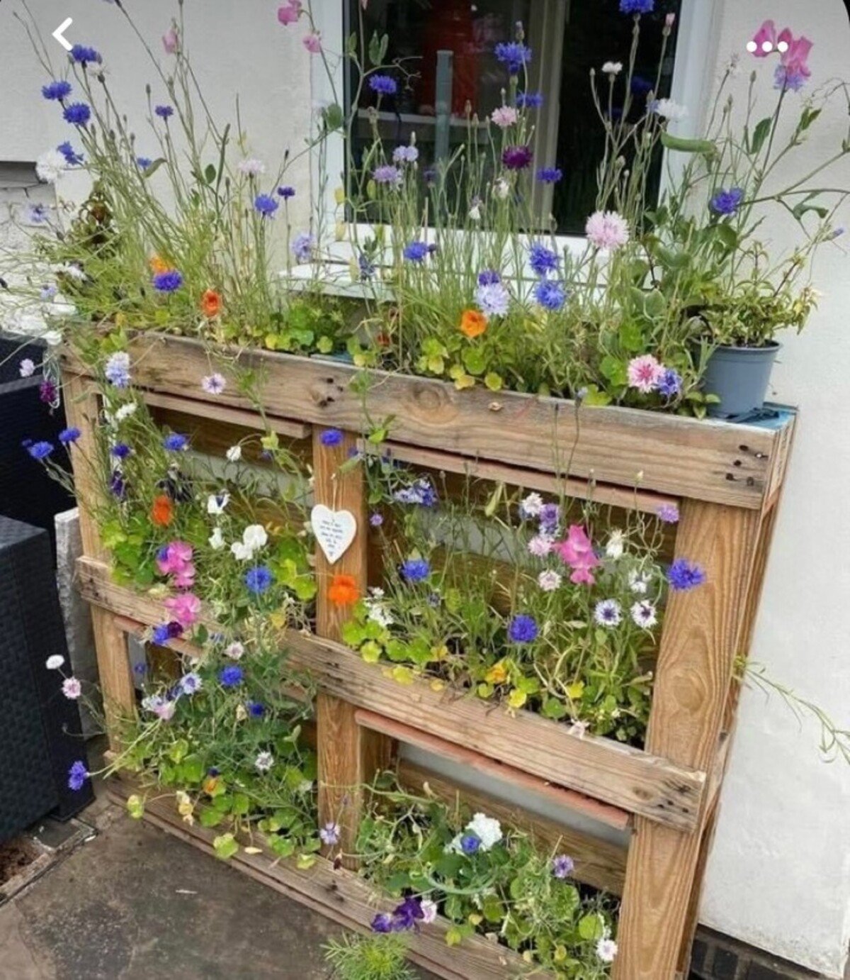 Upcycle Two Old Pallets
