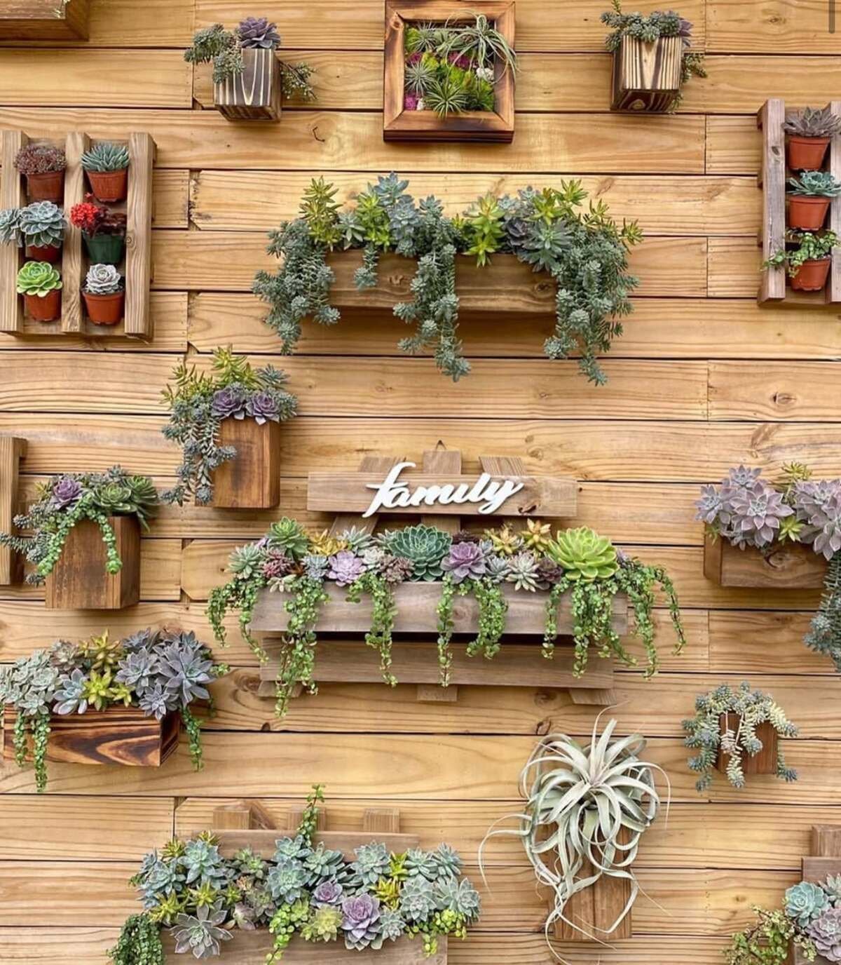 Vertical Succulent Garden
