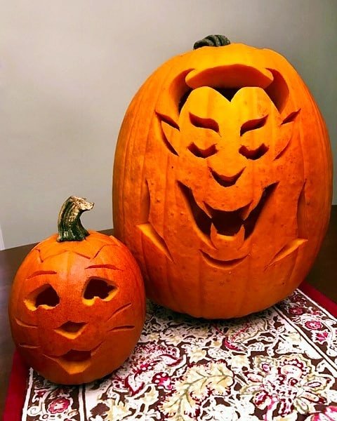 Whiskers & Whimsy Cat Pumpkin