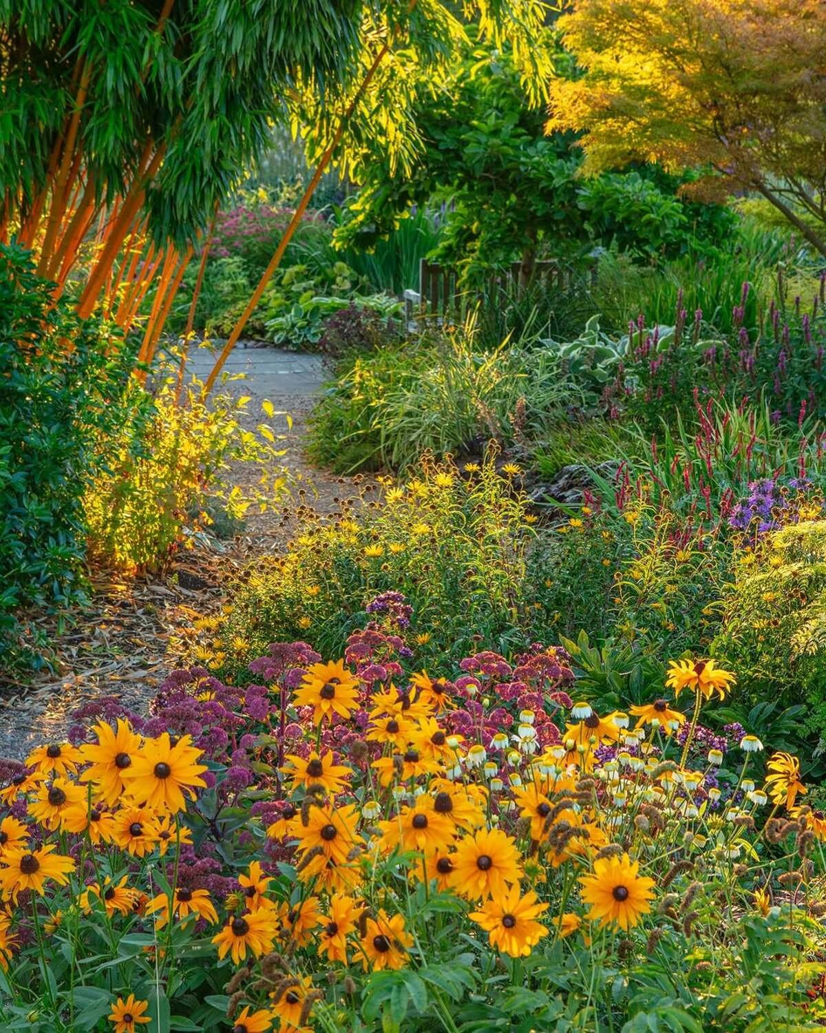 Wildflower Garden