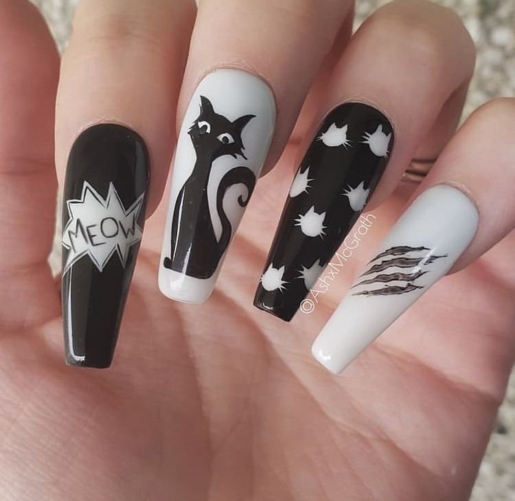 Black Cat