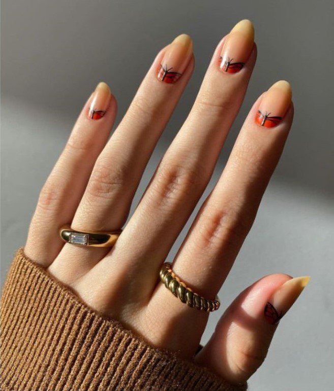 Butterfly Cuticles
