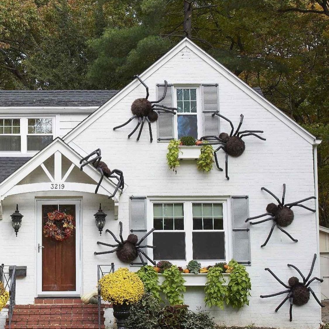 Giant Halloween Spider Props