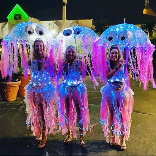 Jellyfish