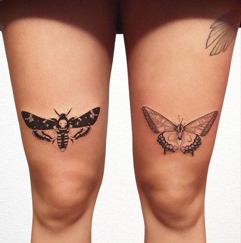 Moth and Cicada Tattoos