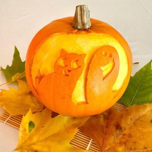 Cat & GhostSmiling Bat