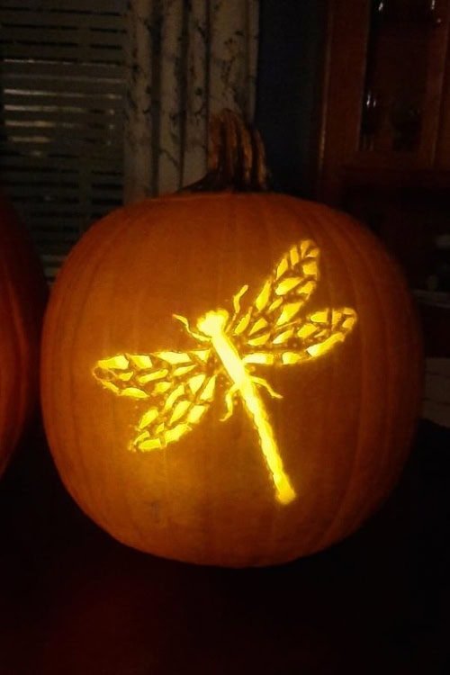 Dragonfly