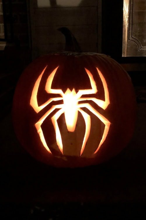 Spiderman Spider Symbol
