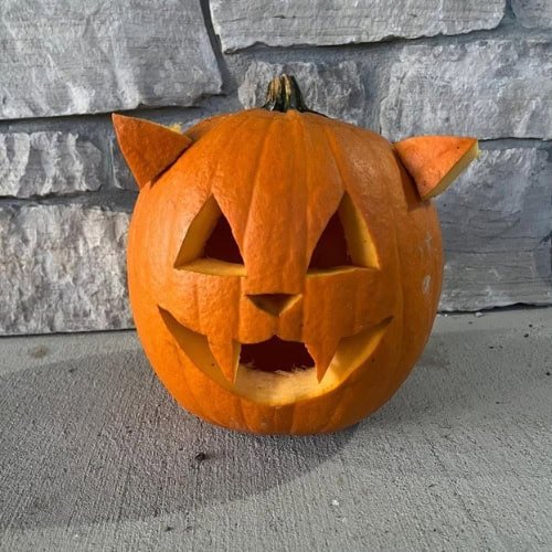 Vampire Cat