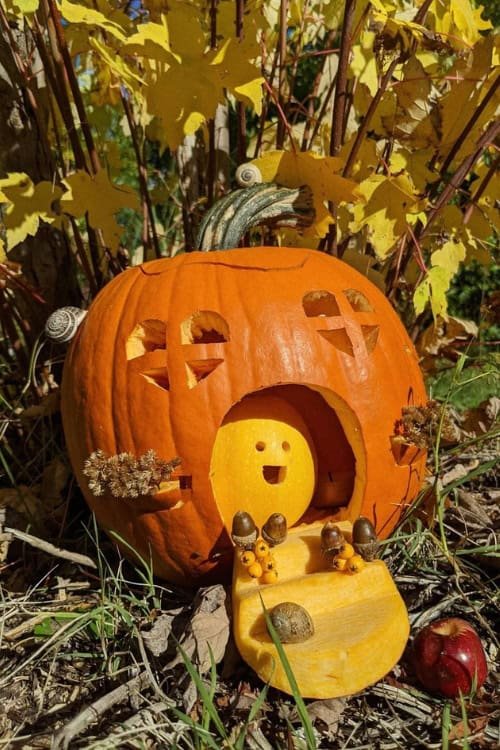Home for a Mini Pumpkin