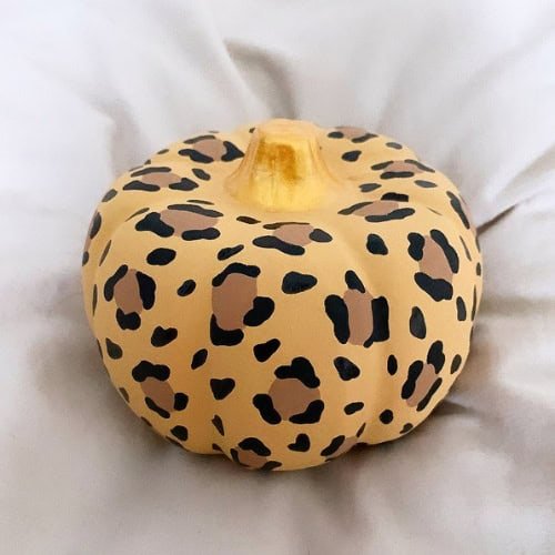 Cheetah Print