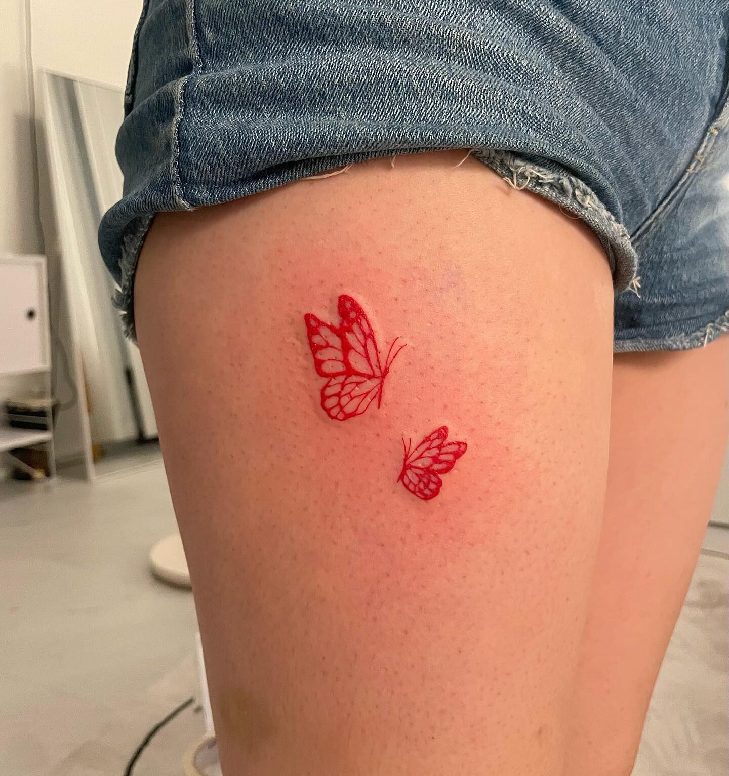 beautiful fluttering butterfly