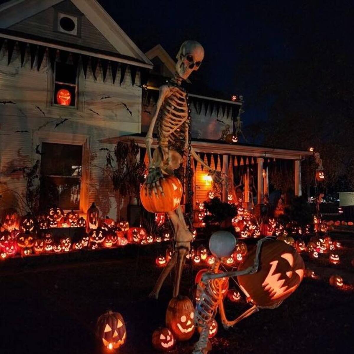 Abundance of Jack O’ Lanterns