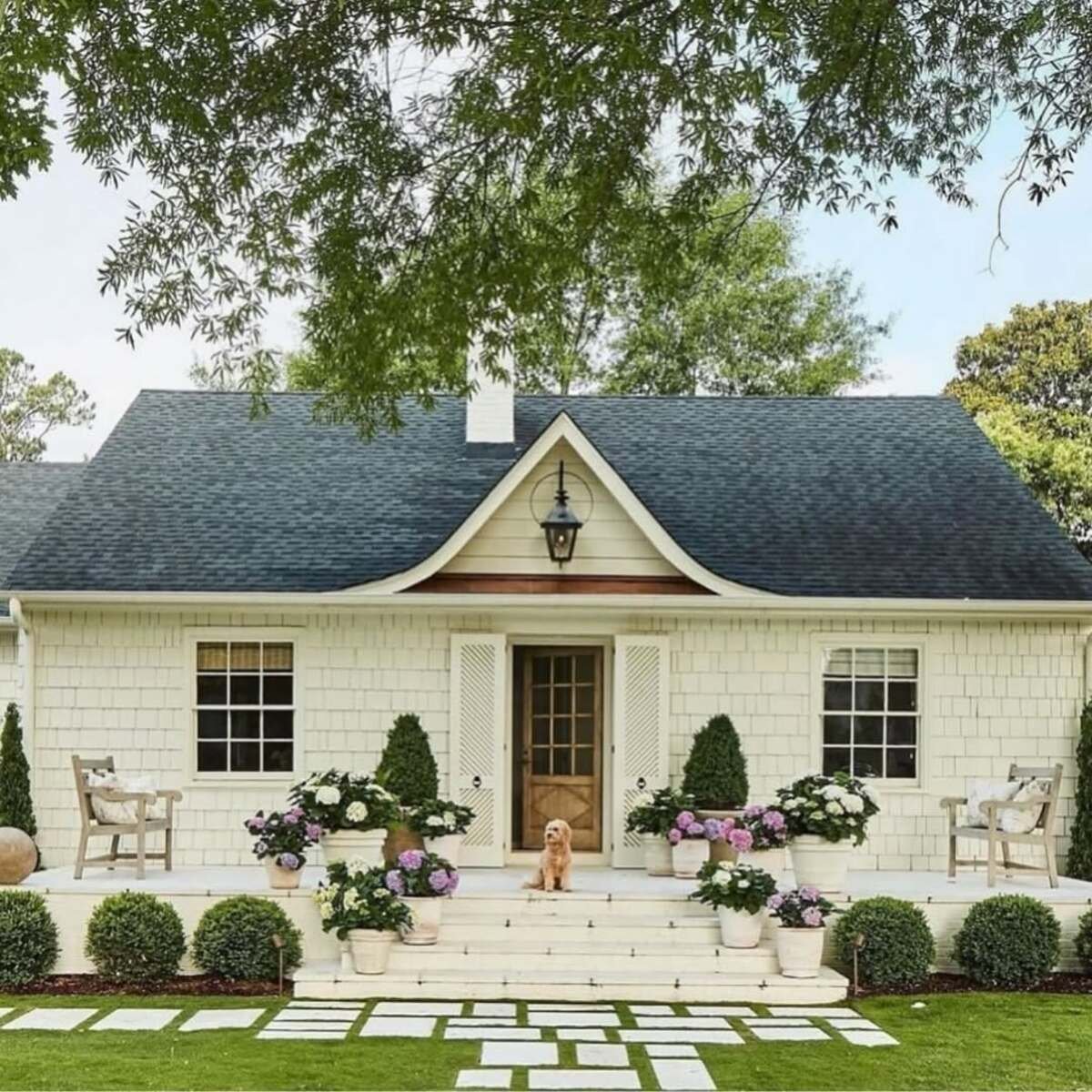 Adorable Simplicity In White And Purple