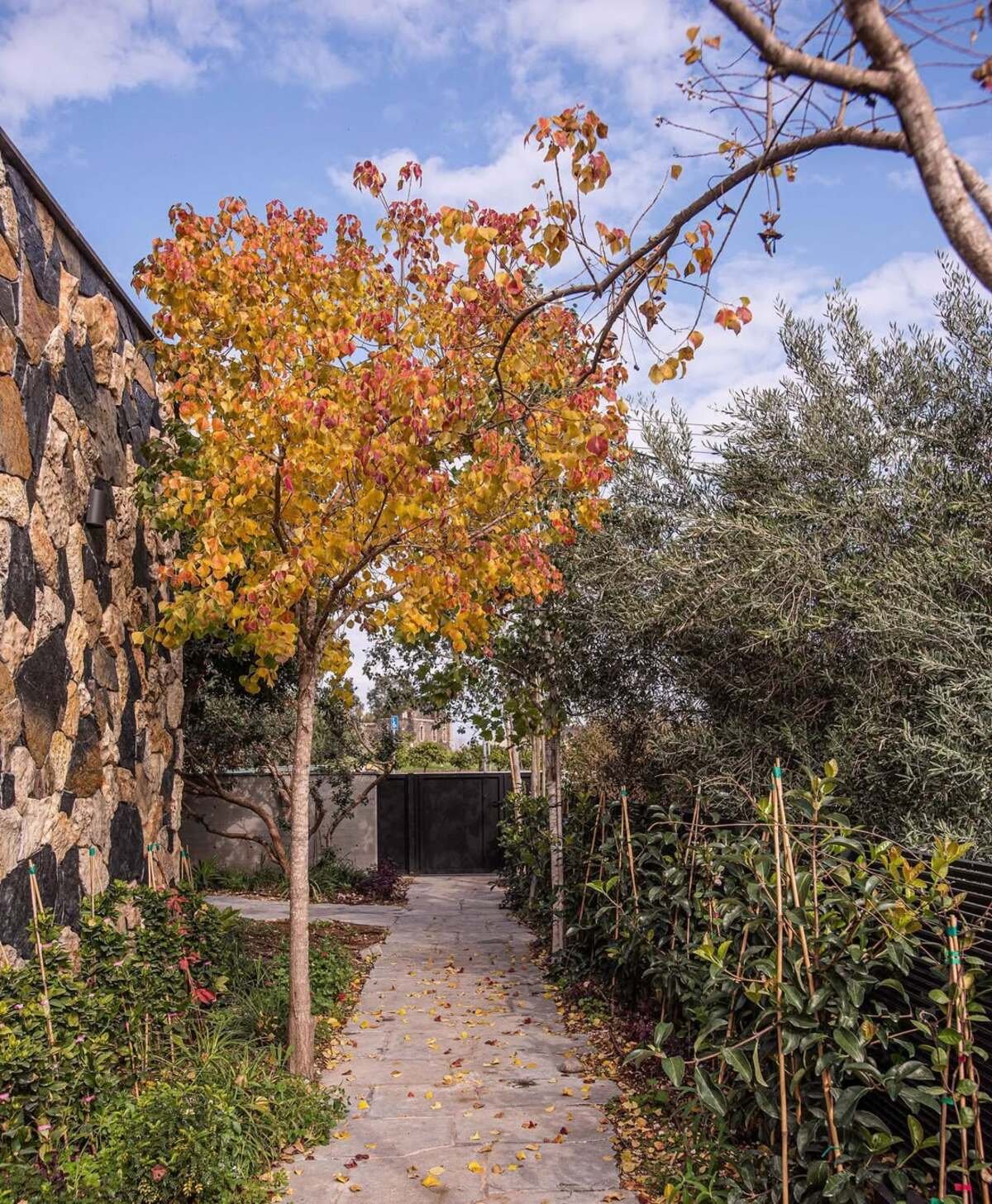 Complement Outdoor Natural Features