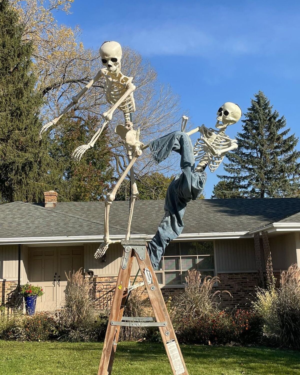 Fighting Skeletons for a Playful Halloween Decor