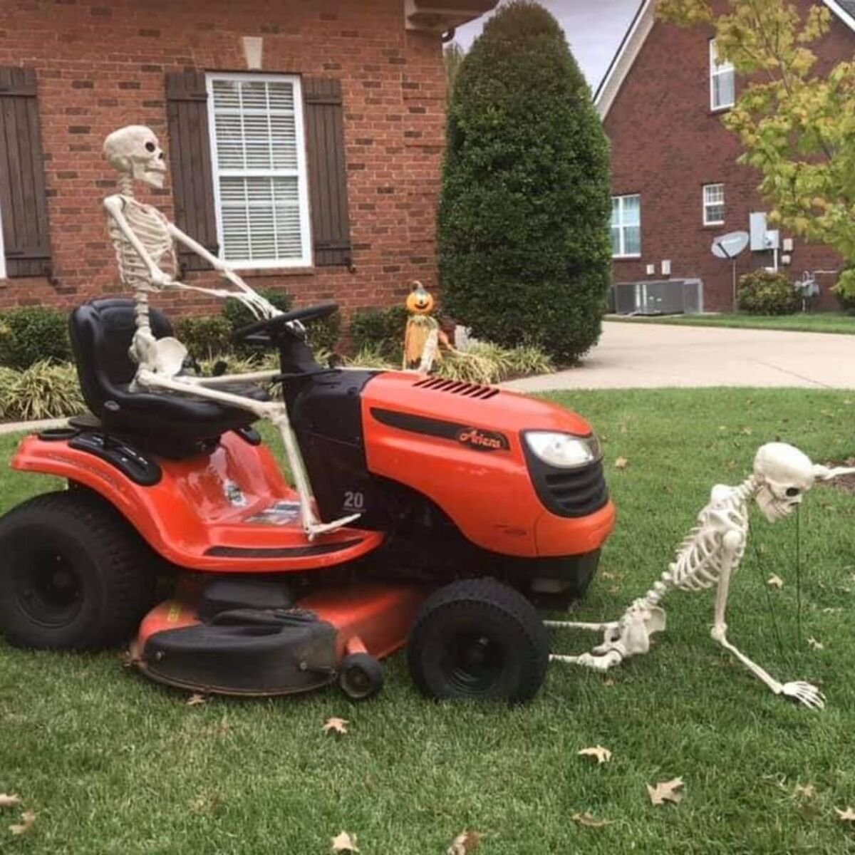 Fun Halloween Yard Installation to Lighten Up the Mood