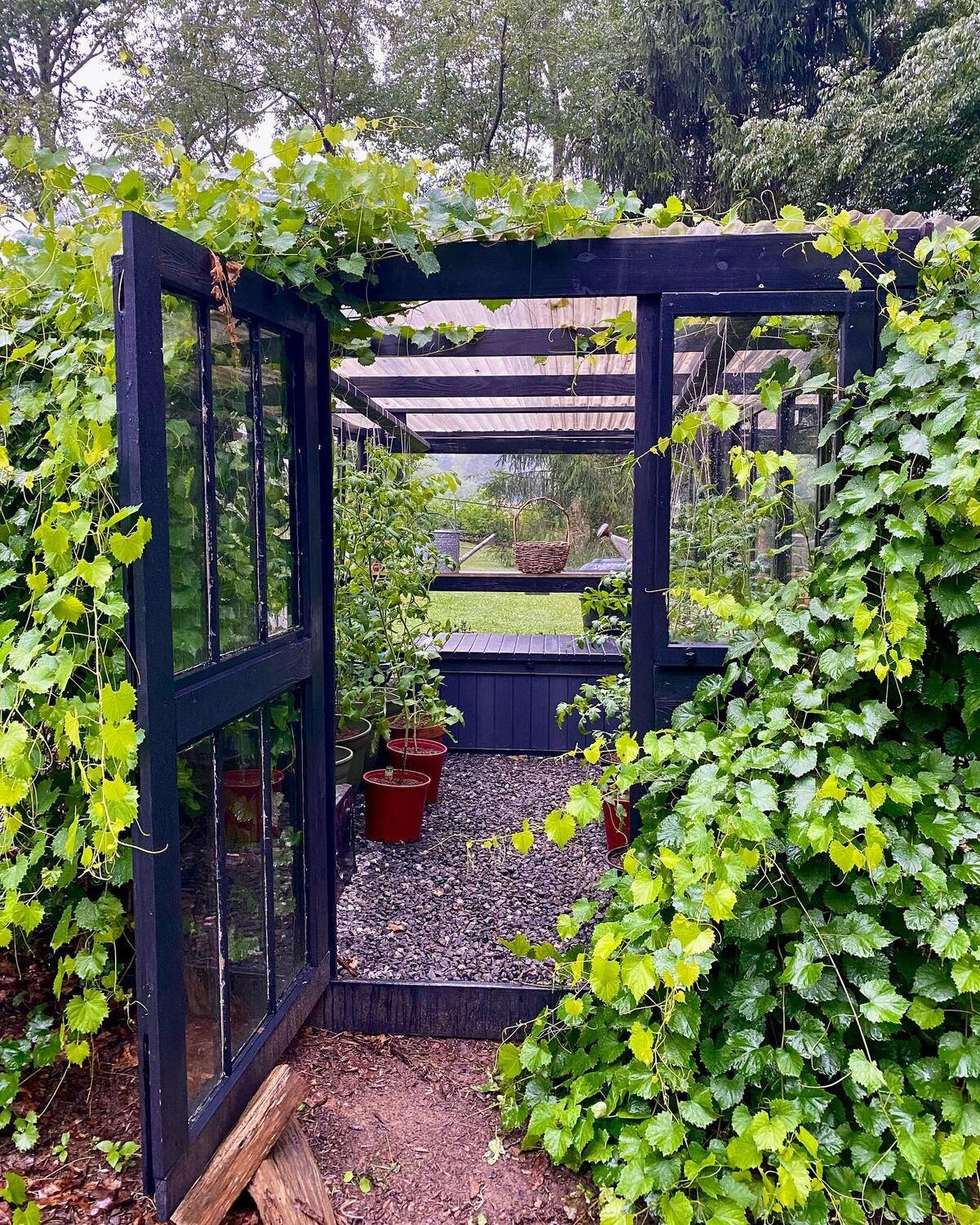 Greenhouse From Second-Hand Windows
