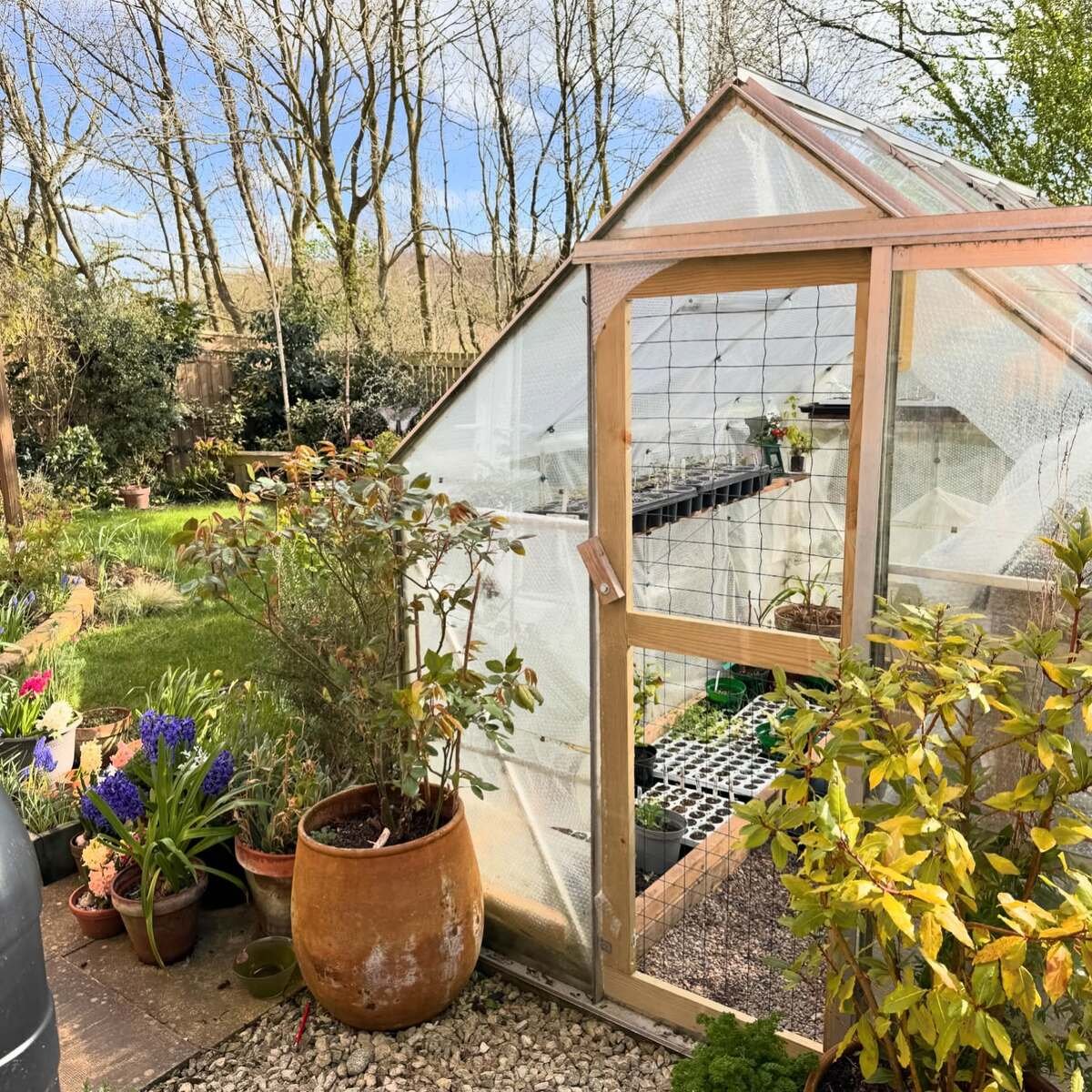 Greenhouse With Bubble Wrap