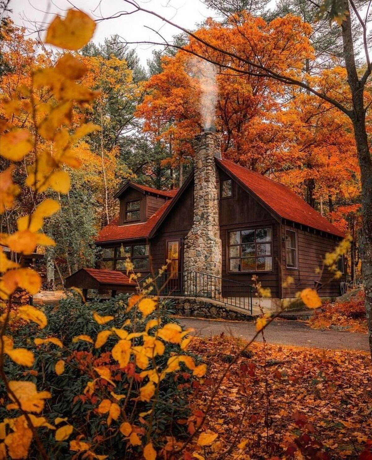 Maintain the Tree Color