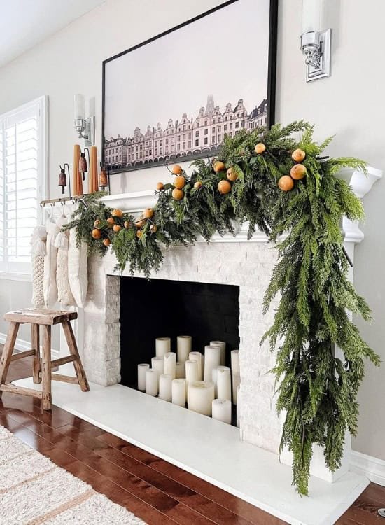 Orange & Evergreen