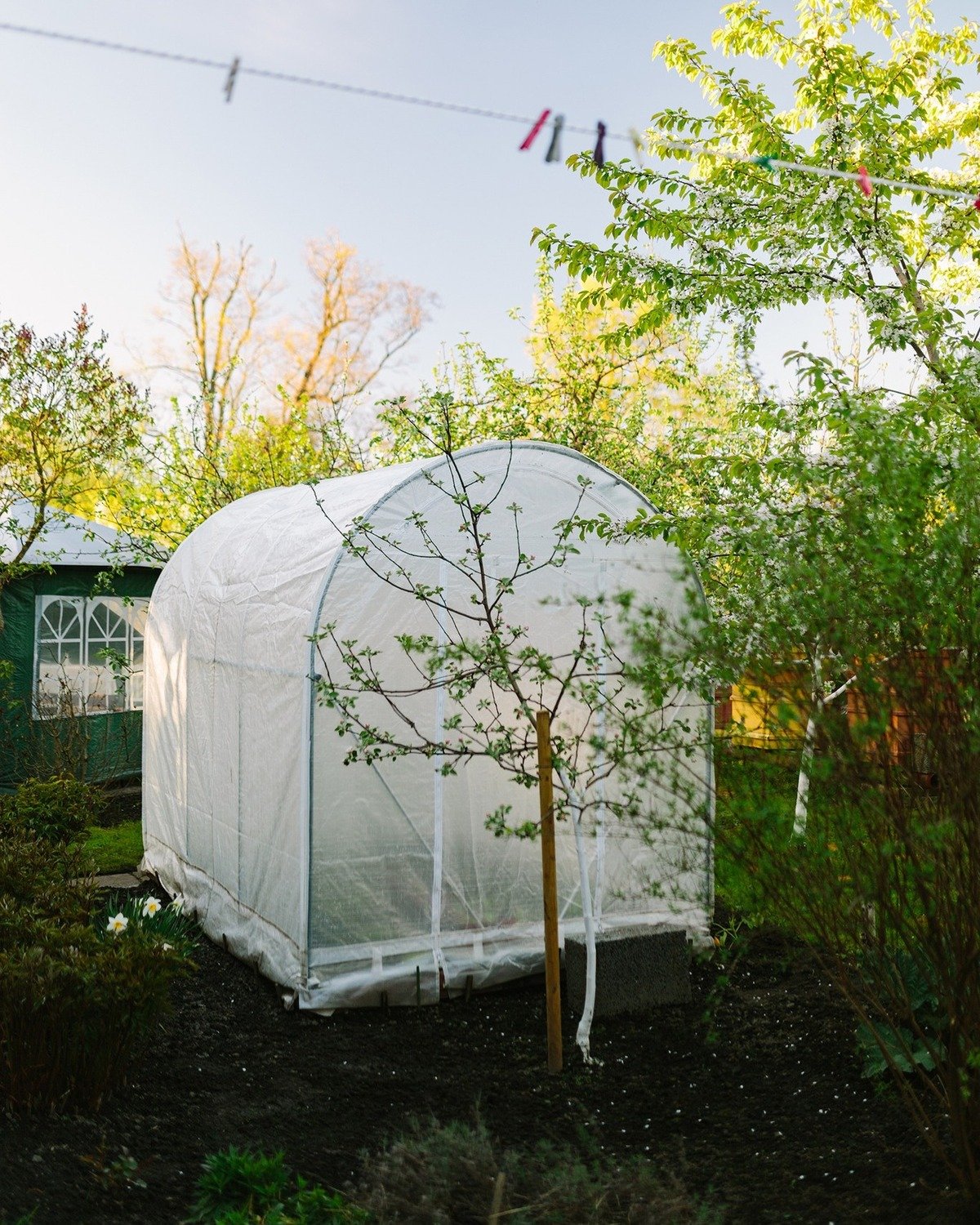 Polythene Greenhouse