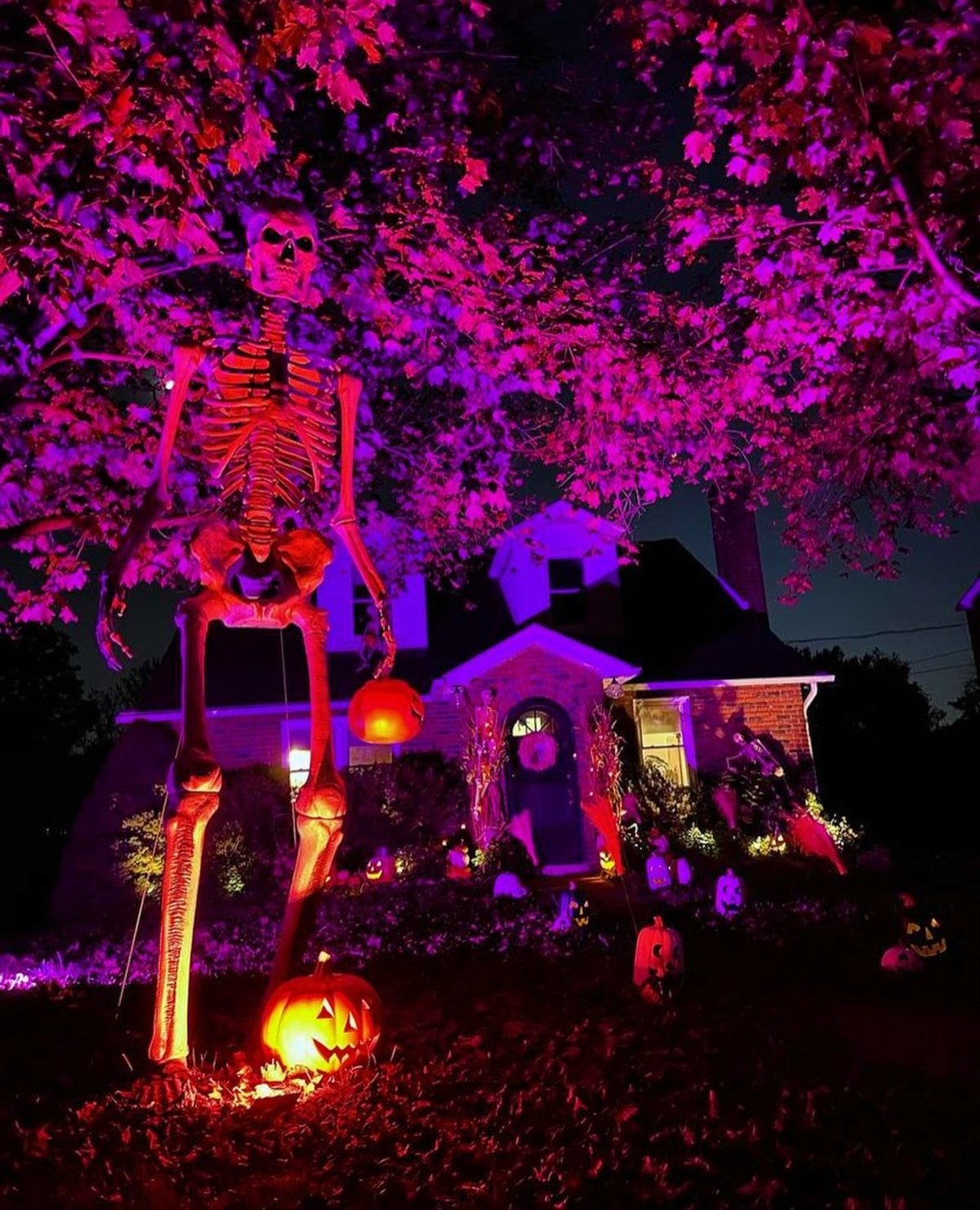 Scary Skeleton