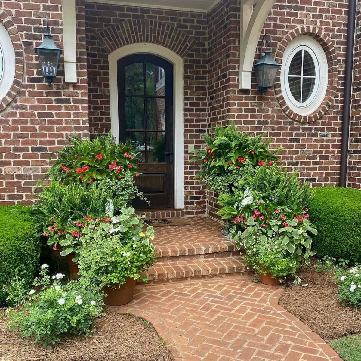 Symmetrical Lush Plant Decoration