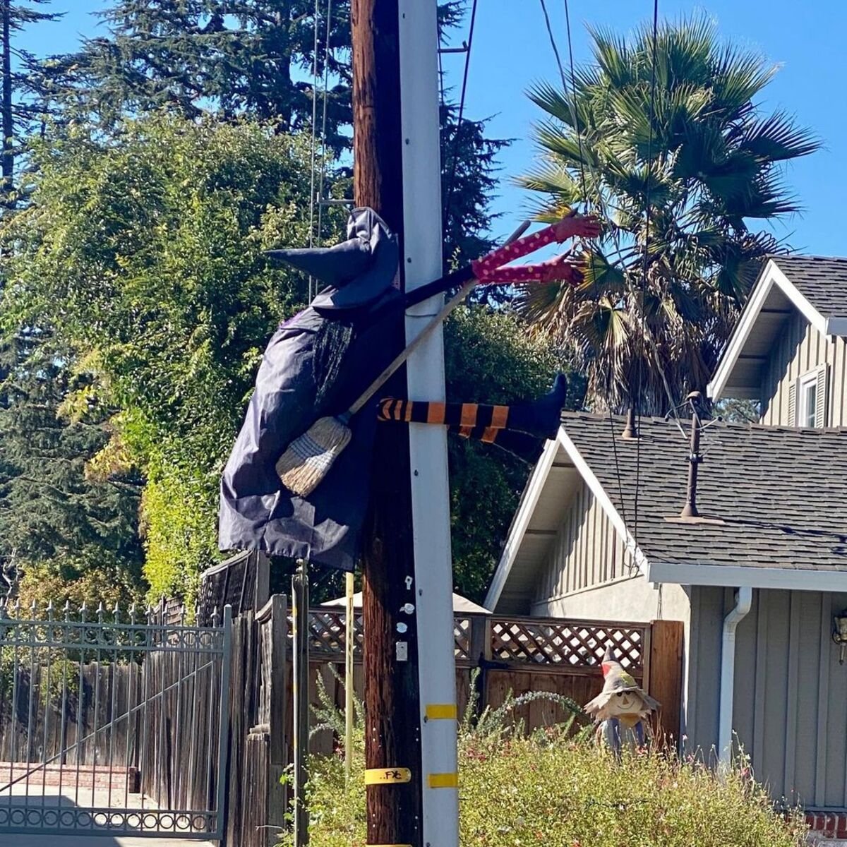 Watch Your Flight