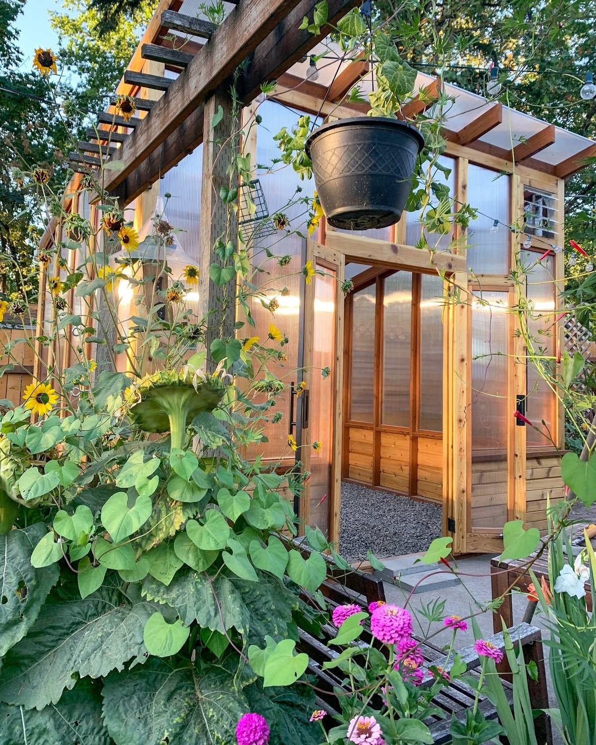 Wooden Greenhouse With Pergola