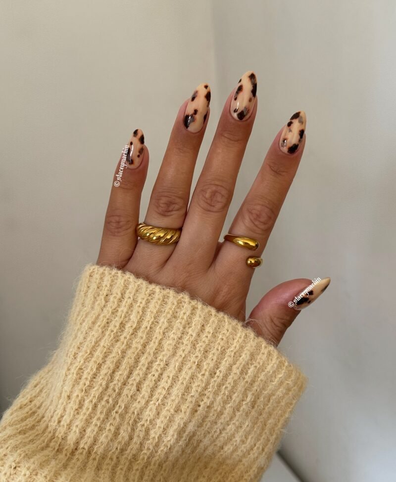 Blonde Tortoiseshell