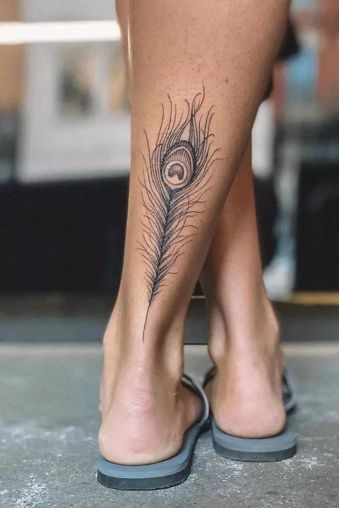 Peacock Feather