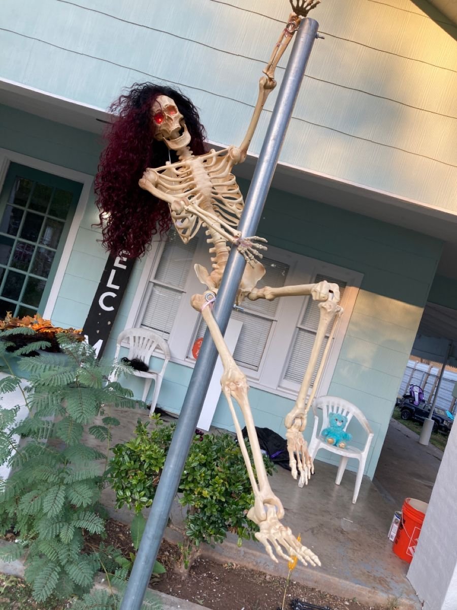 Skeleton stripper