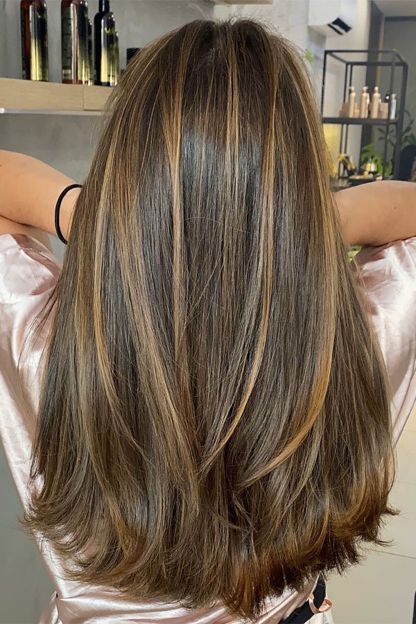 Sleek Honey Highlights