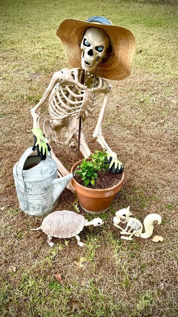 Ultra Posable Halloween Skeletons